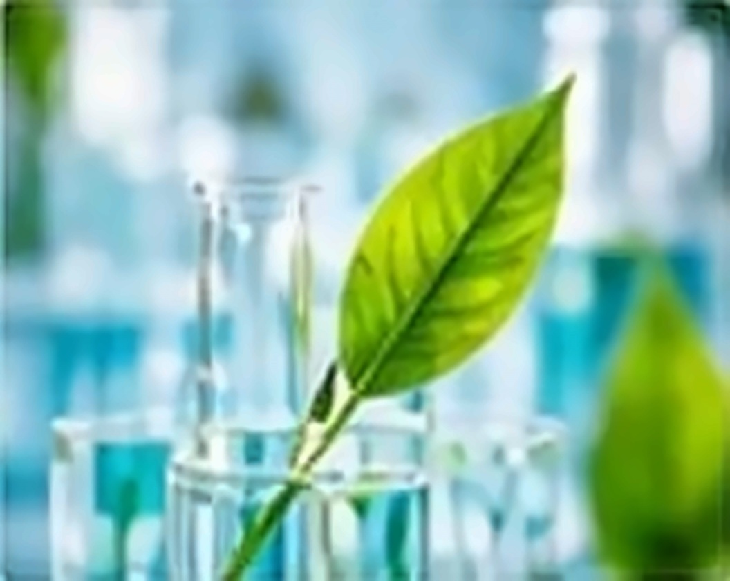 Laboratory